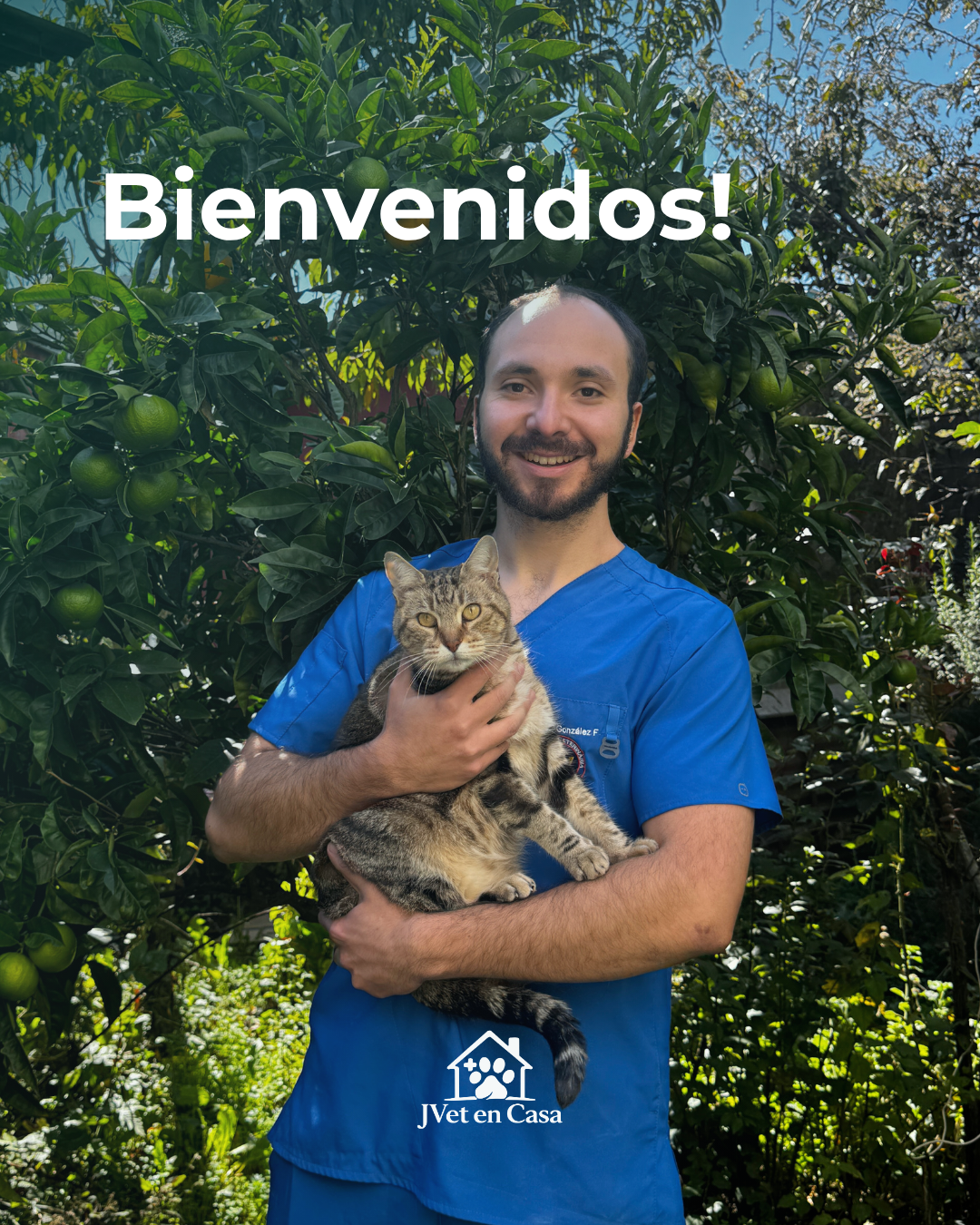 Méd. Vet. Joaquín González durante una atención veterinaria a domicilio en Penco